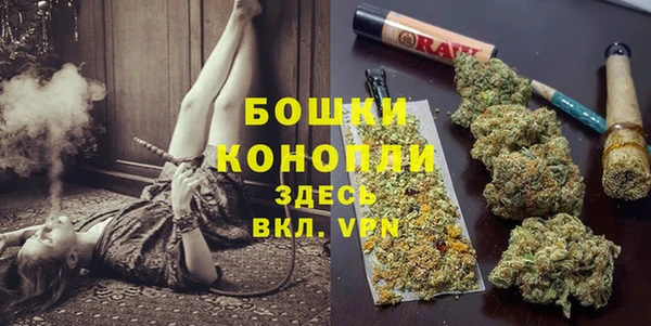 apvp Аркадак