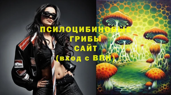apvp Аркадак