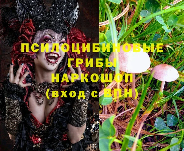 apvp Аркадак