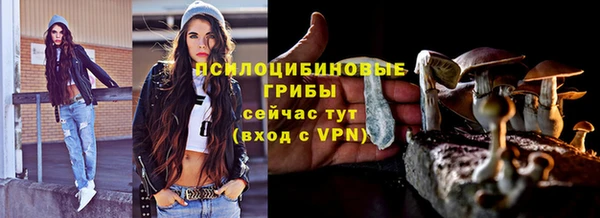 твердый Армянск